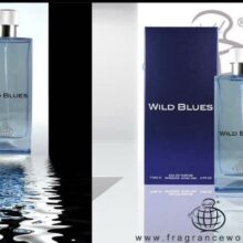 ادکلن مردانه فراگرنس ورد مدل WILD BLUES